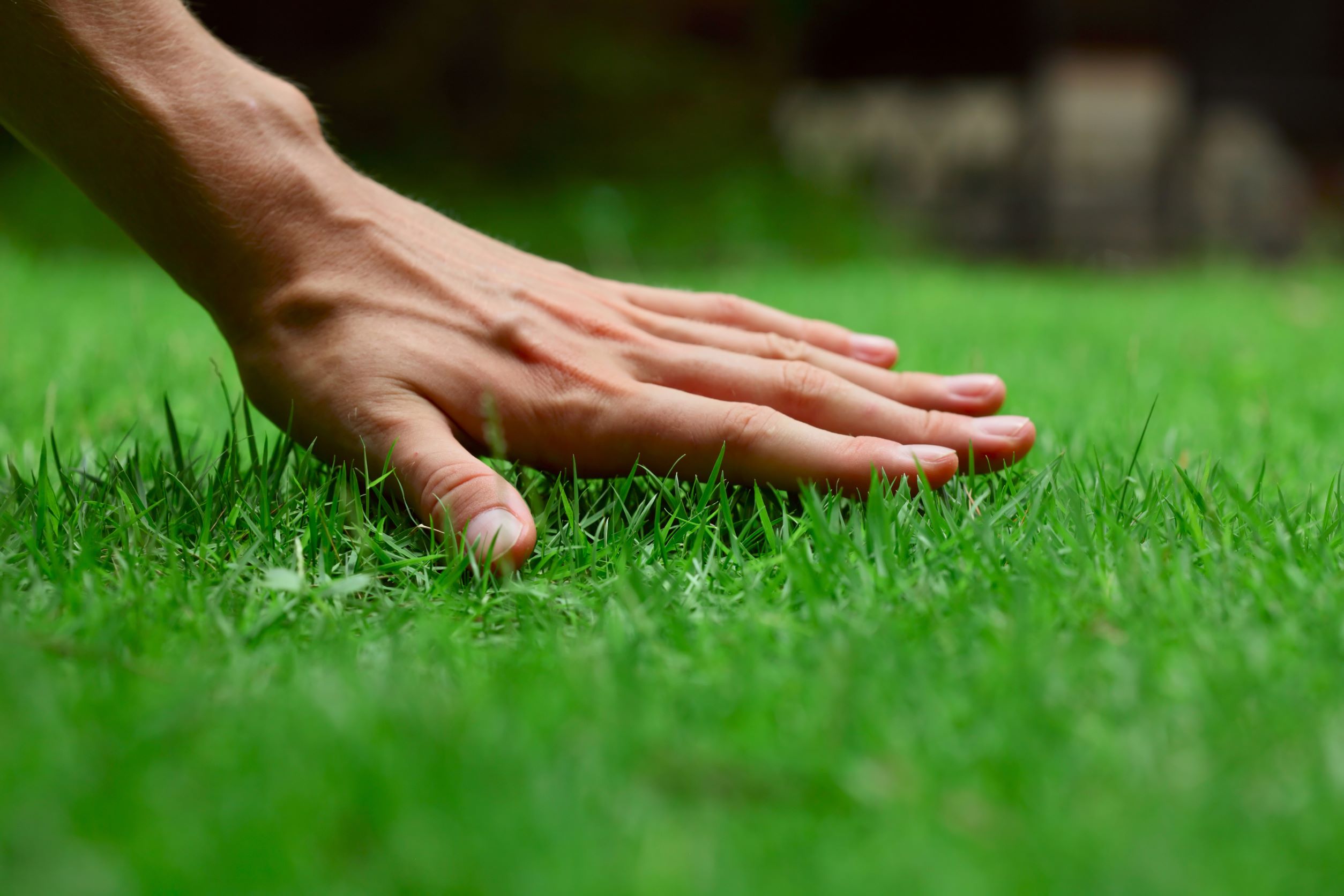 How to choose the right natural turf