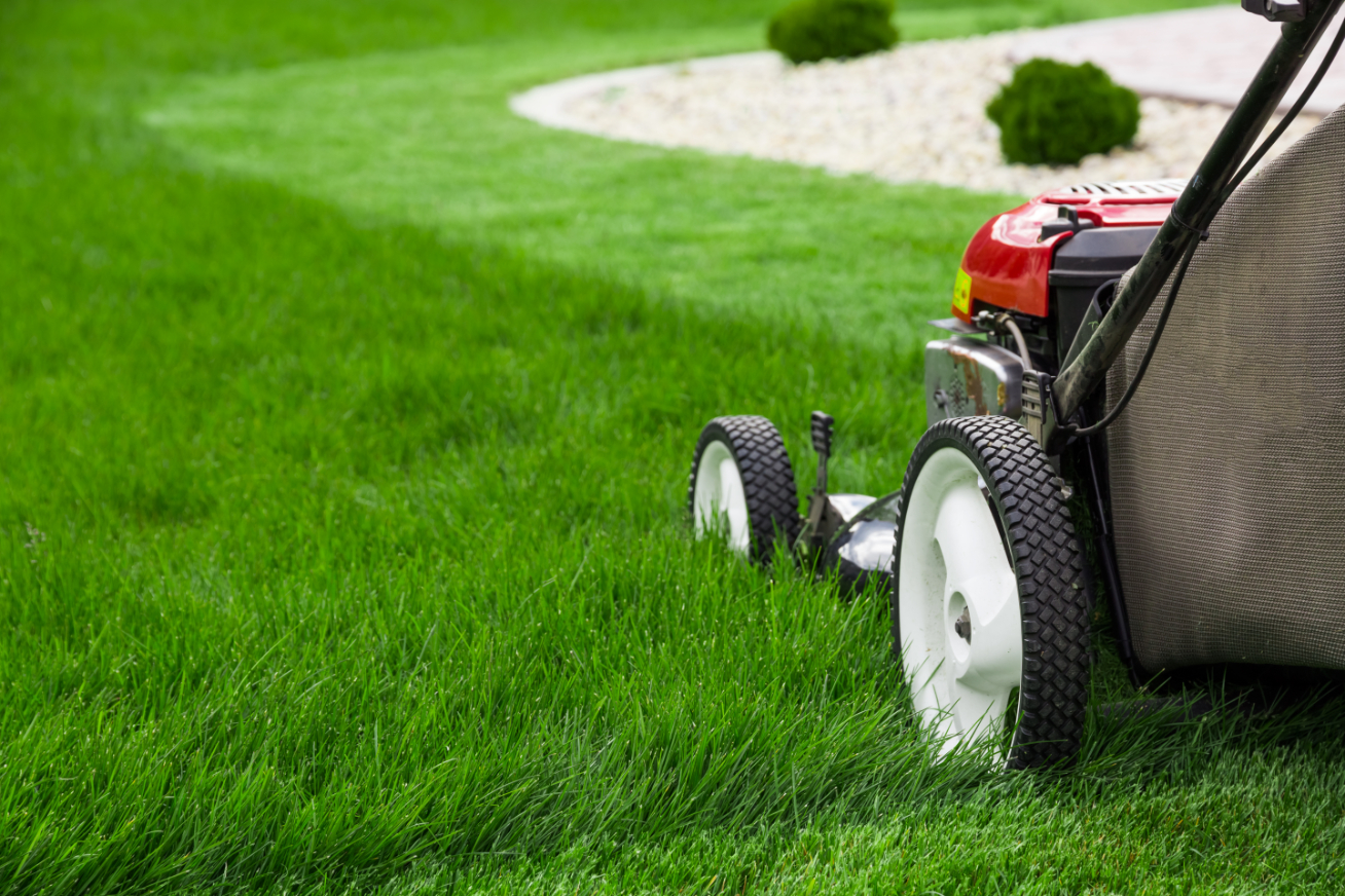 How to maintain your natural turf