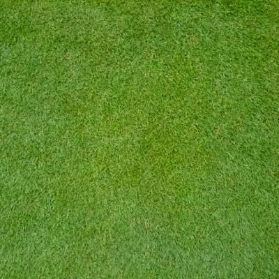 HG Turf Group Santa Ana Sports Couch Grass